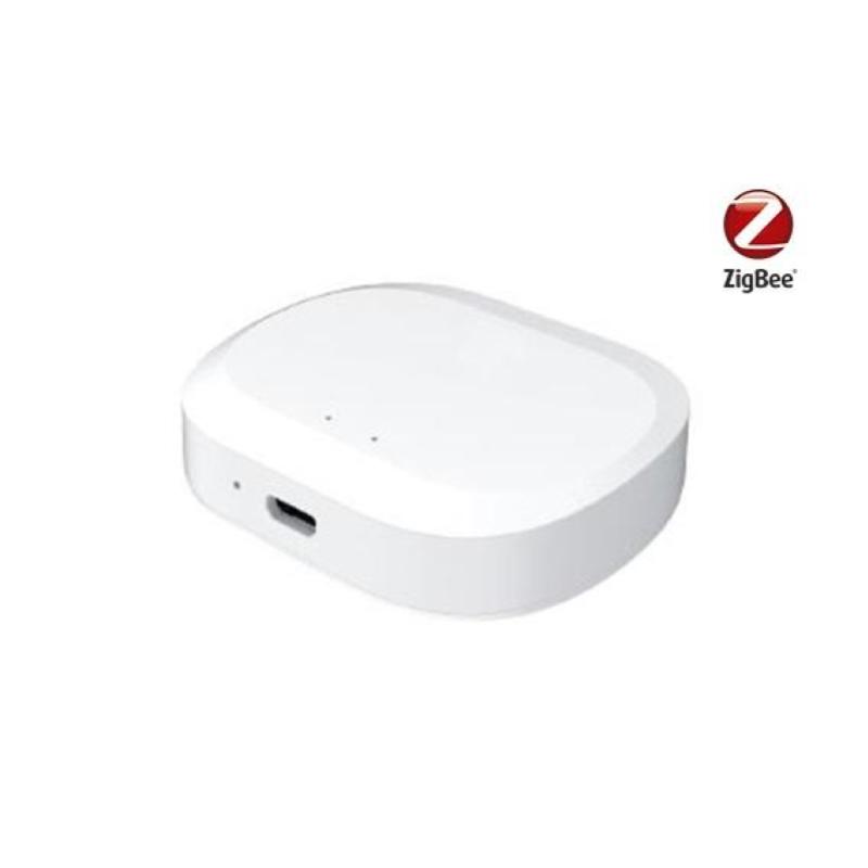 Homcloud centralina intelligente hub - zigbee/wifi