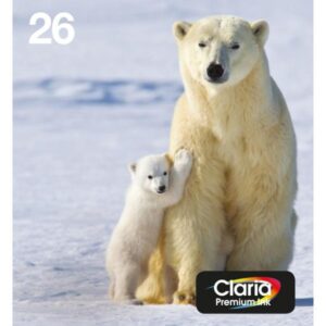 Epson polar bear multipack 4 colori 26