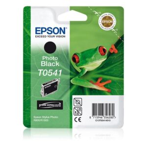 Epson cartuccia nero-foto per styphoto r800