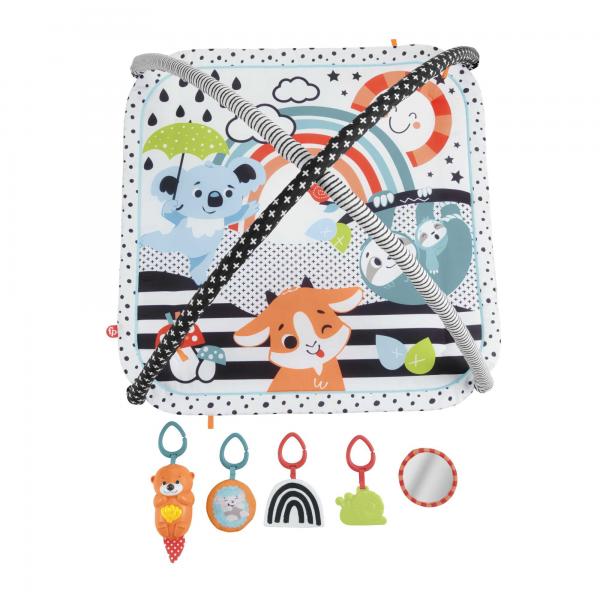 Fisher price palestrina animali 3in1