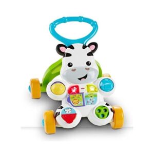 Fisher price zebra primi passi