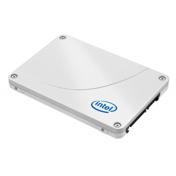 Intel Solid-State Drive serie D3-S4620 - SSD - crittografato - 960 GB - interno - 2,5" (6,4 cm)