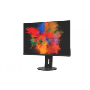 Fujitsu B2410 WS - Monitor LED - 61,13 cm (24,1")