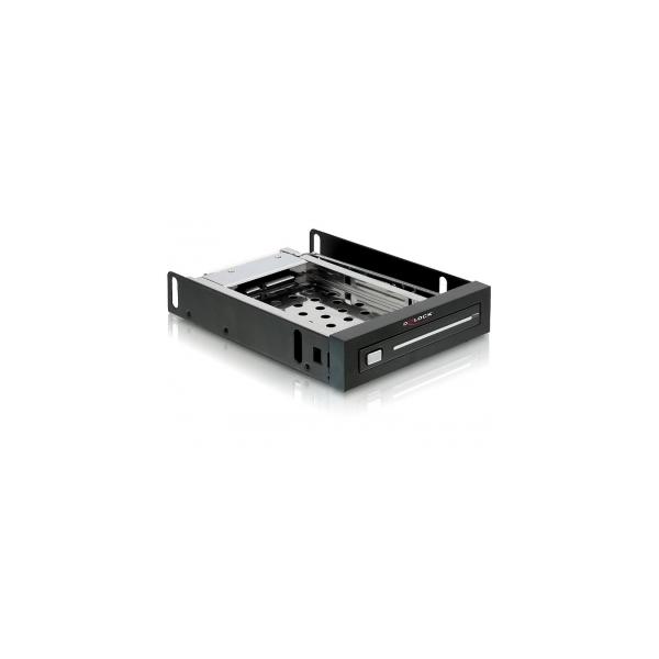 Delock Rack di archiviazione mobile - 2,5" (6,4 cm)
