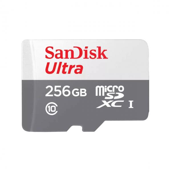 SanDisk Ultra - Scheda di memoria flash - 256 GB