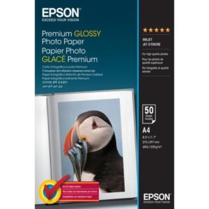 Epson Premium - Lucida - Rivestita in resina - A4 (210 x 297 mm)