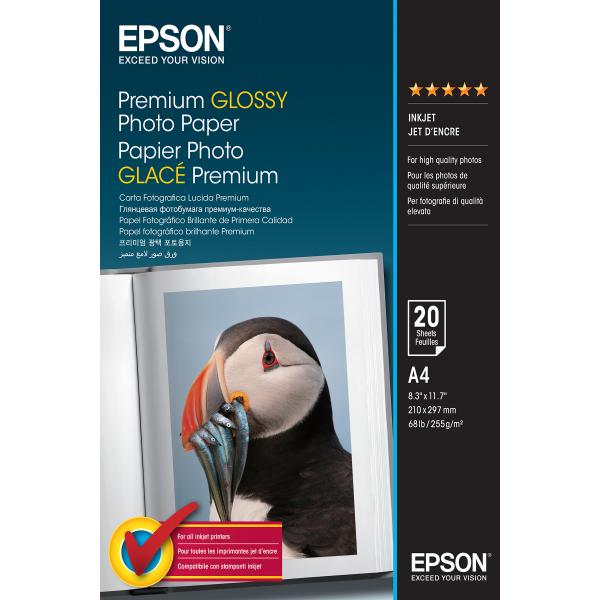 Carta fotografica lucida Premium Epson - Lucida - A4 (210 x 297 mm)