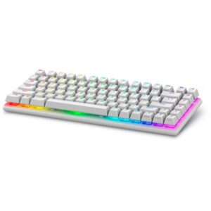 Dell Alienware Pro Wireless Gaming Keyboard - Tastatur - 75% - compact TKL - AlienFX Per-Key RGB / 16,8 Millionen Farben - kabellos - 2.4 GHz, Bluetooth 5.1, USB - QWERTY - USA - Tastenschalter: Alienware lineare mechanische Switches (Hotswap-fähig)