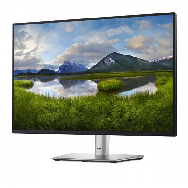 Dell P2425 - Monitor LED - 61 cm (24") (07/24" visibile)