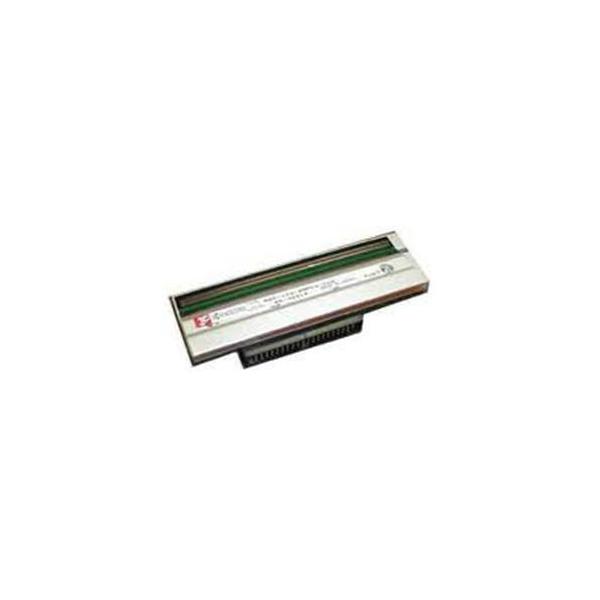 Zebra 300 dpi - testina di stampa - per Zebra ZT220