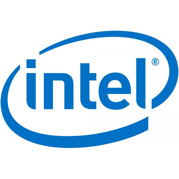 Intel Remote Management Module 4 Lite 2 - Adattatore di gestione remota