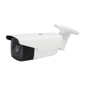 LevelOne FCS-5092 - Telecamera di sorveglianza di rete - da esterno - resistente alle intemperie - a colori (giorno e notte)
