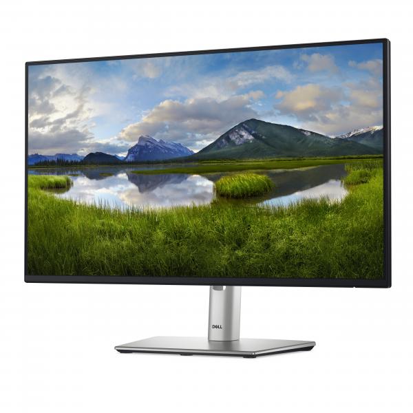 Dell P2425HE - Monitor LED - 61 cm (24") (23,81" visibile)