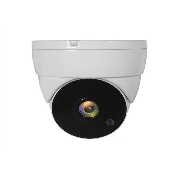 LevelOne ACS-5302 - telecamera di sorveglianza - cupola - resistente alle intemperie - a colori (giorno e notte)