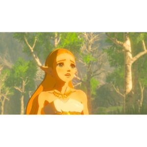 The Legend of Zelda gioco interruttore
