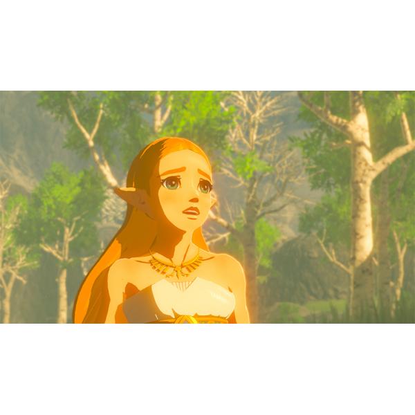 The Legend of Zelda gioco interruttore