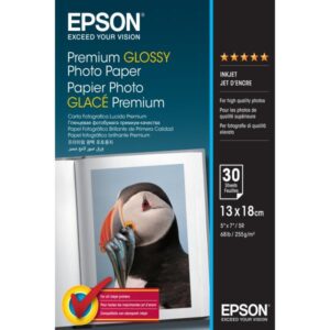 EPSON S042154 Pre C13S042154