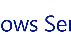 SW MS HPE WIN SER 2019 5UT CAL EMEA LTU
