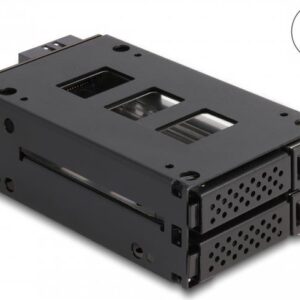 Delock - Mobiles Speicher-Rack - schmaler Schacht - 5,25" bis 2 x 2,5" (13,3 cm bis 2 x 6,4 cm) - Schwarz (47019)