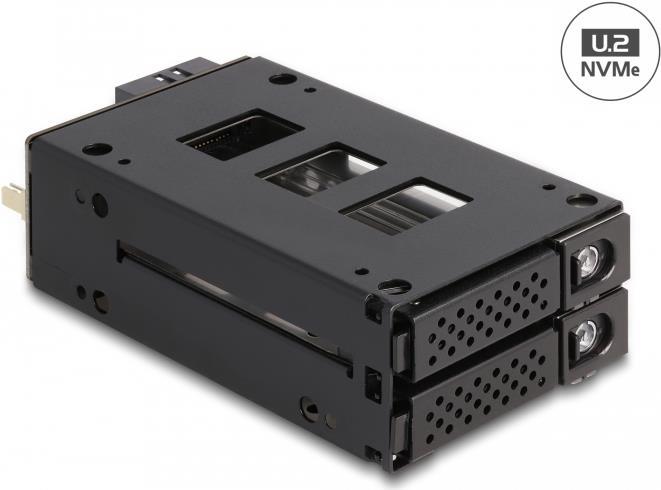 Delock - Mobiles Speicher-Rack - schmaler Schacht - 5,25" bis 2 x 2,5" (13,3 cm bis 2 x 6,4 cm) - Schwarz (47019)