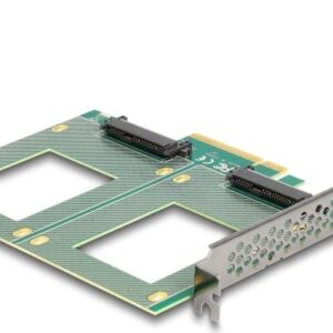 Delock - Speicher-Controller - Gabelung, 144 x 122 mm - U.2 NVMe - PCIe 4,0 x8 (90162)