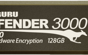Kanguru Encrypted Defender 3000 - USB-Flash-Laufwerk - verschlüsselt - 128 GB - USB 3.2 Gen 1 - FIPS 140-2 Level 3 - TAA-konform (KDF3000-128G)