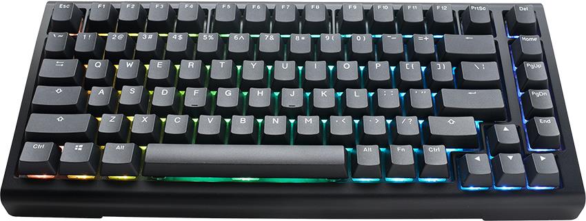 Ducky Tinker 75 Gaming-Tastatur RGB - MX-Brown ANSI - 75% Gaming-Tastatur von Ducky - Hot-Swap-fähig - mit MX-Brown Switches - ANSI-Layout - RGB-Beleuchtung - Gasket-Mounted - Gehäuse aus ABS-Kunststoff - Baseplate aus FR-4 (PKTI2383AST-CBUSPDOECLAAW1)