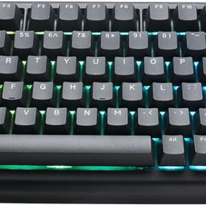 Ducky Tinker 75 Gaming-Tastatur RGB - MX-Blue ISO-DE - 75% Gaming-Tastatur von Ducky - Hot-Swap-fähig - mit MX-Blue Switches - ISO-Layout - RGB-Beleuchtung - Gasket-Mounted - Gehäuse aus ABS-Kunststoff - Baseplate aus FR-4 (PKTI2383IST-CCDEPDOECLAAW1)