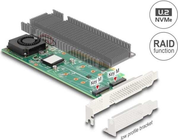 Delock - Speicher-Controller - M.2 NVMe Card - Low-Profile - RAID 0, 1, JBOD - PCIe 3,0 x8 (90123)