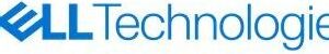 Dell Single Stick N1 - Kunden-Kit - SSD - 480GB - intern - M.2 (400-BONG)