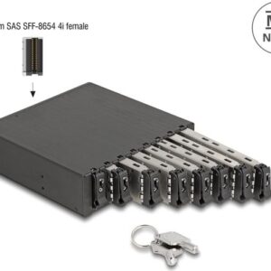 Delock - Mobiles Speicher-Rack - M.2 (47129)