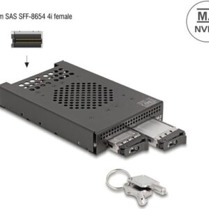 DeLOCK 3.5? Wechselrahmen für 2 x M.2 NVMe SSD mit Slim SAS SFF-8654 Anschluss (47117)
