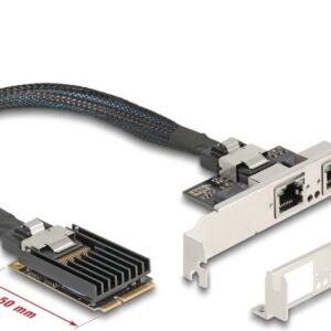 Delock Mini PCIe I/O full size 2 x RJ45 Gigabit LAN (95280)