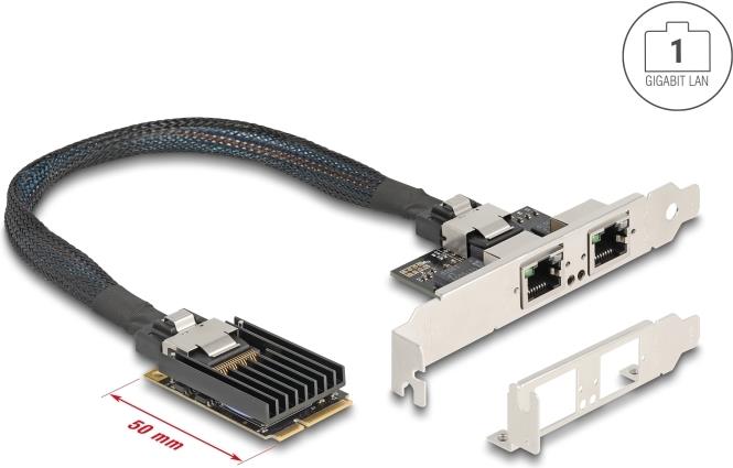 Delock Mini PCIe I/O full size 2 x RJ45 Gigabit LAN (95280)