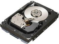 Dell - Festplatte - 300 GB - intern - 6.4 cm ( 2.5" ) - SAS 6Gb/s - 10000 U/min