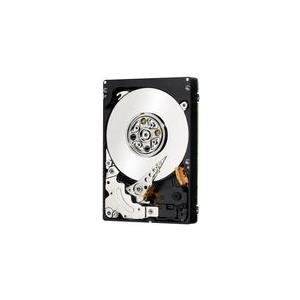 IBM Lenovo - Festplatte - 300 GB - Hot-Swap - 2.5" SFF (6.4 cm SFF) - SAS - 10000 U/min - Express Seller - für BladeCenter HS23, System x3100 M5, x3300 M4, x35XX M4, x3650 M4, x3650 M4 HD (49Y6173)