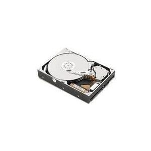 IBM Lenovo - Festplatte - 1 TB - Hot-Swap - 2.5" SFF (6.4 cm SFF) - SATA 6Gb/s - nearline - 7200 U/min - (CRU) - Tier 1 - für BladeCenter HS22, System x3100 M5, x3250 M4, x3300 M4, x35XX M4, x36XX M3, x3950 X5 (81Y9731)