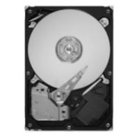IBM Lenovo - Festplatte - 2 TB - 3.5" (8.9 cm) - SAS 6Gb/s - NL - 7200 U/min - für Storwize V3700 LFF Dual Control Enclosure, V3700 LFF Expansion Enclosure (00MJ125)