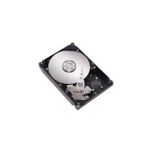 Lenovo - Festplatte - 500GB - Hot-Swap - 2.5" SFF Slim (6,4 cm SFF Slim) - SATA 3Gb/s - 7200 U/min - für BladeCenter HS22, System x3400 M2, x3500 M2, x35XX M3, x3650 M2, x36XX M3, x3850 X5 (42D0752)