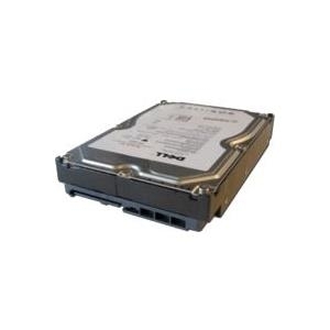 Dell - Festplatte - 1 TB - intern - 3.5" (8.9 cm) - SAS - NL - 7200 U/min - für PowerEdge C6220, R220, R320, T110, T320, T420, T430, T630, VRTX, PowerEdge R430, R530