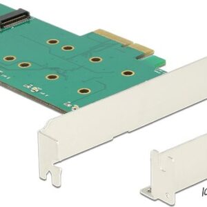 DeLOCK PCI Express Card > 2 x internal M.2 Key B with RAID - Speicher-Controller - M.2 Card Low Profile - 6GBps - RAID 0, 1 - PCIe 2,0 x4 (89536)