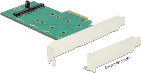 DeLOCK PCI Express Card > 2 x internal M.2 Key B with RAID - Speicher-Controller - M.2 Card Low Profile - 6GBps - RAID 0, 1 - PCIe 2,0 x4 (89536)
