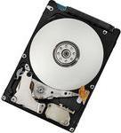 Lenovo Gen2 - Festplatte - 300 GB - Hot-Swap - 6.4 cm SFF (2.5" SFF) - SAS 6Gb/s - 10000 U/min - für BladeCenter HS23, System x3100 M5, x3300 M4, x35XX M4, x3650 M4, x3650 M4 HD (90Y8878)