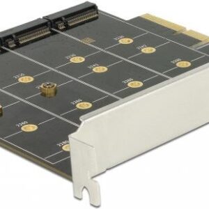 DeLOCK - Speichercontroller (RAID) - 4 Sender/Kanal - M.2 Card - 6 GBps - RAID 0, 1, 10 - PCIe x4