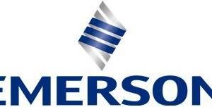 Emerson - Stromversorgung (Plug-In-Modul) - 750 Watt - FRU (CRU) - Tier 1 - für System x iDataPlex dx360 M4 7912, System x3300 M4 7382, x3500 M4 7383, x3550 M4 7914 (94Y8071)