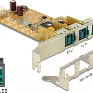 DeLock - USB-Adapter - PCIe 1.1 - PoweredUSB 2.0 (12 V) x 3