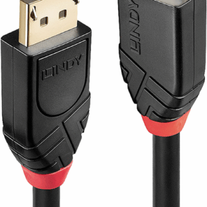 Lindy - DisplayPort-Kabel - DisplayPort (M) bis DisplayPort (M) - DisplayPort 1,2 - 20,0m - rund, 4K Unterstützung, aktiv - Schwarz (41081)