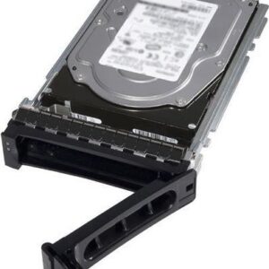 Dell - Kunden-Kit - Festplatte - 300GB - Hot-Swap - 2.5" (6,4 cm) (in 8,9 cm Träger) (in 3.5"  Träger) - SAS 12Gb/s - 15000 U/min - für PowerEdge T330 (3.5"), T430 (3.5"), T630 (3.5") (400-AJRR)