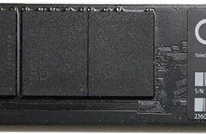 CoreParts MS-SSD-256GB-STICK-01 Internes Solid State Drive (MS-SSD-256GB-STICK-01)