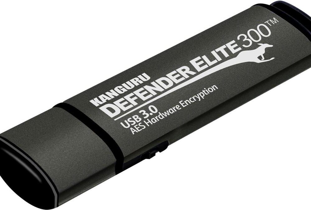 Defender Elite300 USB 256GB Kanguru USB3.0 Stick Encrypted, Kapazität: 256GB KANGURU (KDFE300-256G)